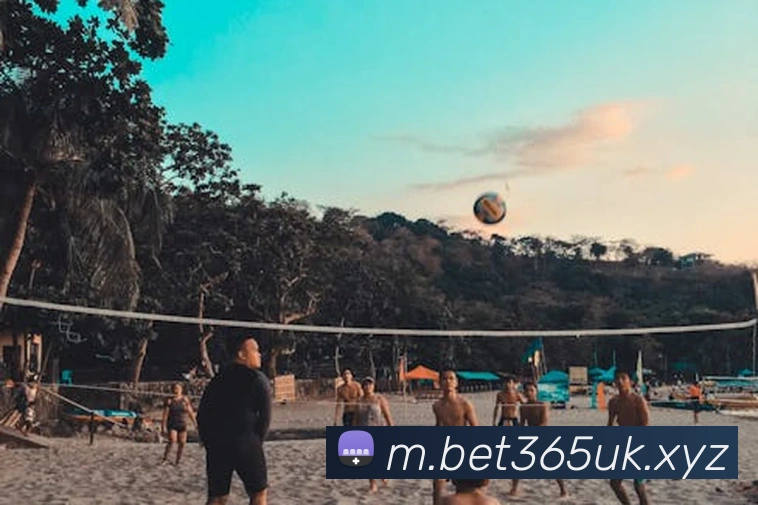 bet365官网平台生态图